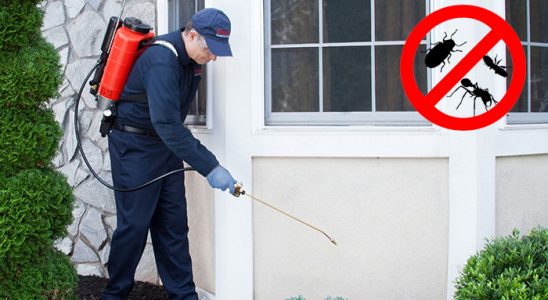 Aybastı Kene İlaçlama böcek ilaçlama ve haşere kontrolü — ilaclama-tr.com